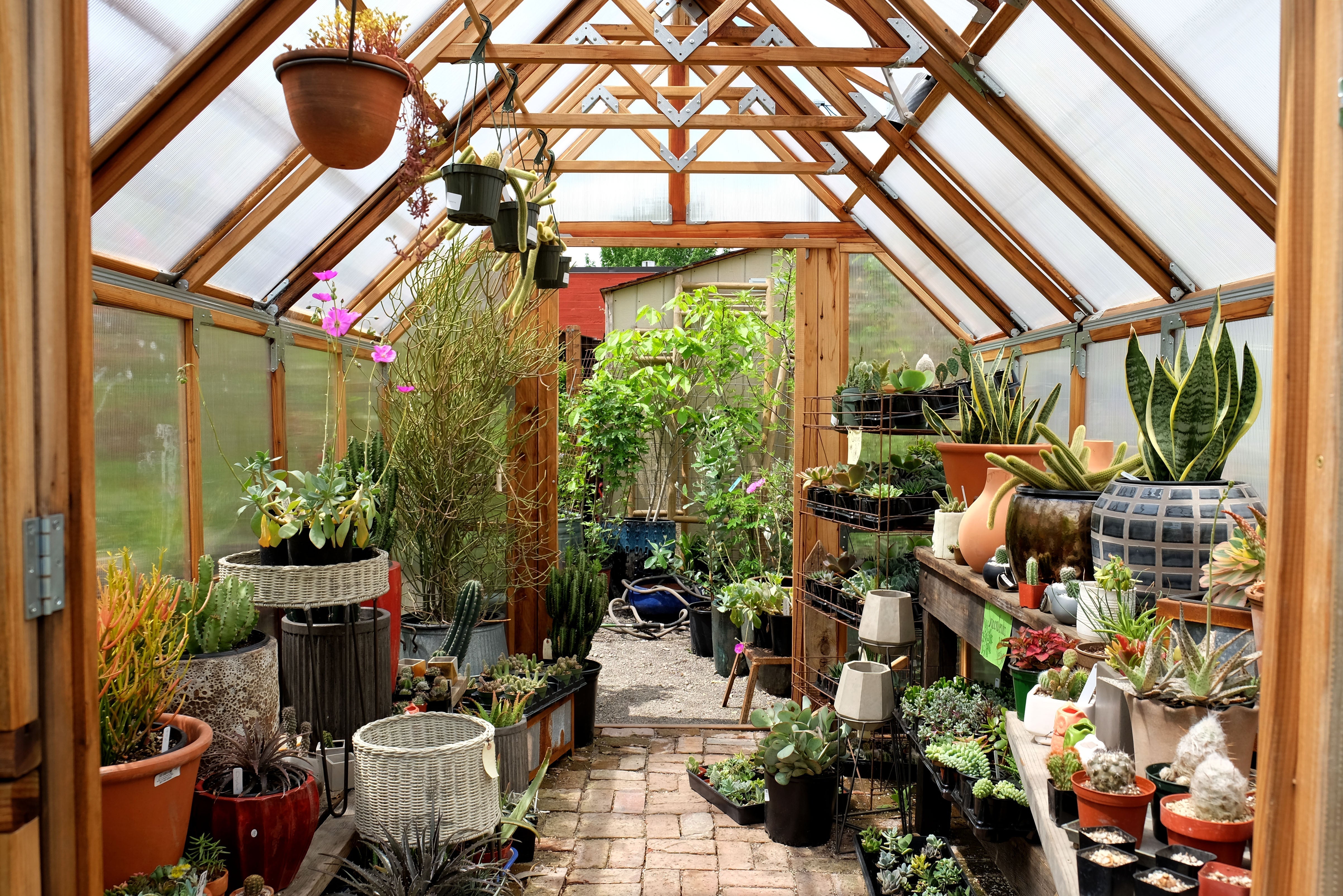 Le Jardinage : une passion qui fait grandir